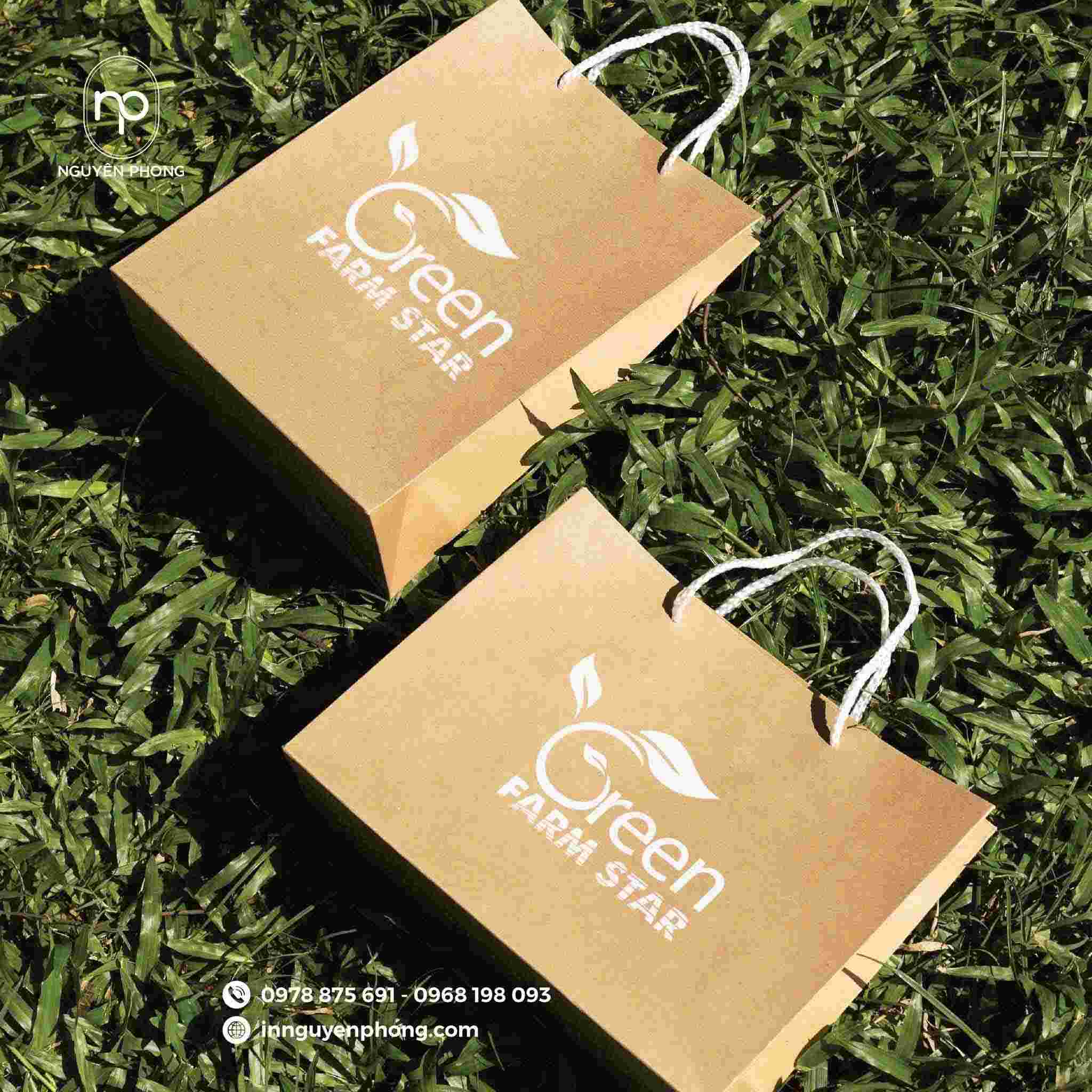 Mẫu túi kraft đơn giản đựng nấm 